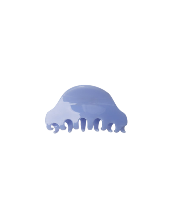 FERN Hair Claw