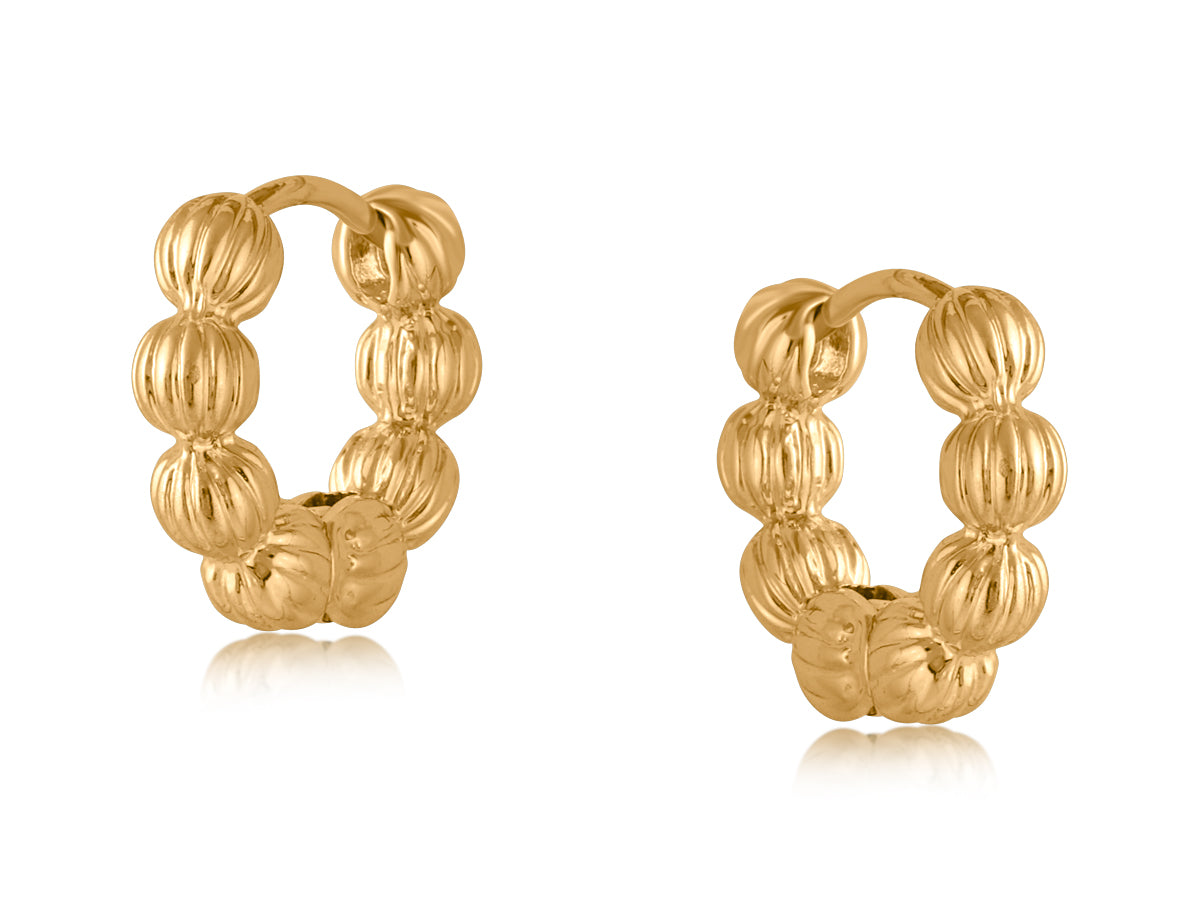 Rhodes Small Hoop Earrings in Gold