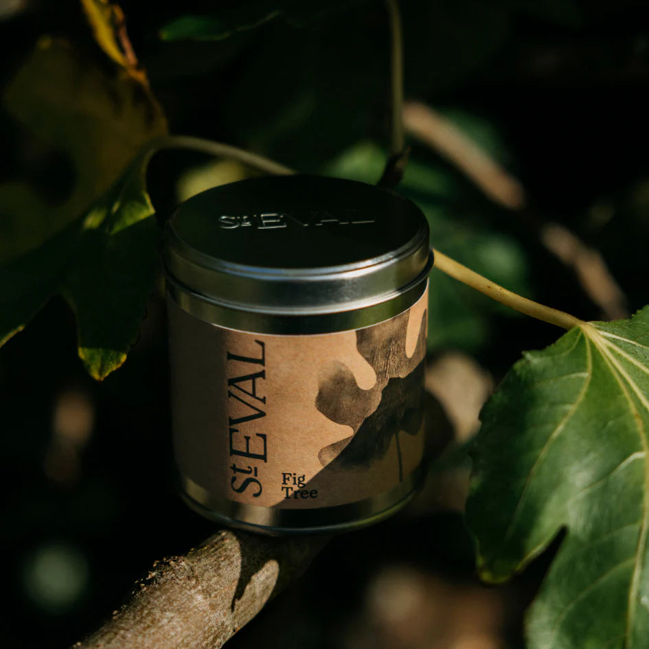 Fig Tree Tin candle